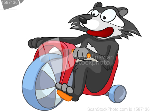 Image of Cartoon Character Raccoon