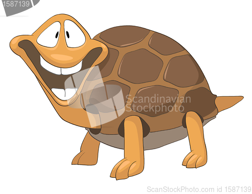 Image of Cartoon Character Turtle