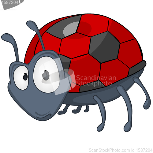 Image of Cartoon Character Ladybird