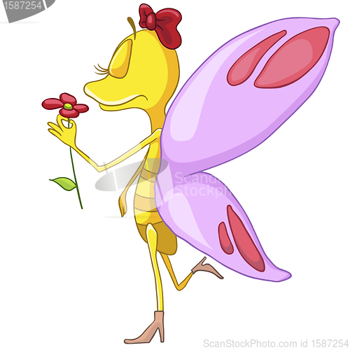 Image of Cartoon Character Butterfly