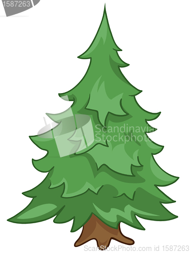 Image of Cartoon Nature Tree Fir