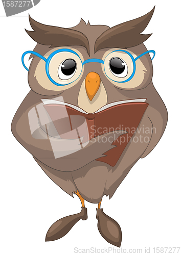 Image of Cartoon Character Funny Owl