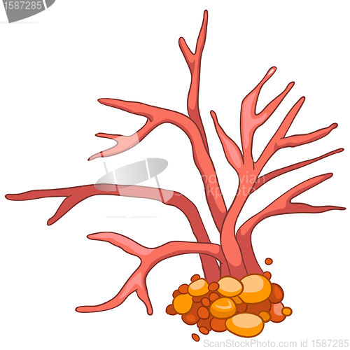 Image of Cartoon Alga