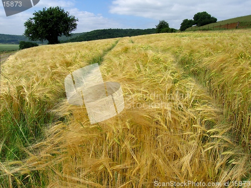 Image of farmland