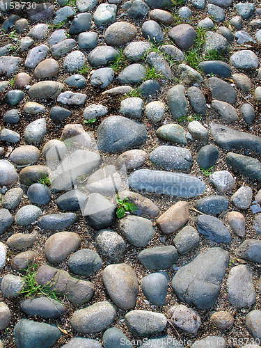 Image of Cobblestone Street