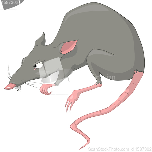 Image of Cartoon Character Rat