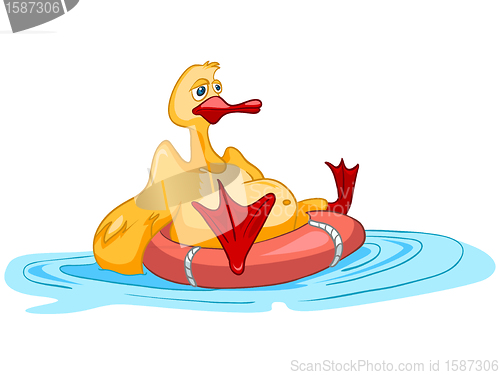 Image of Cartoon Character Duck