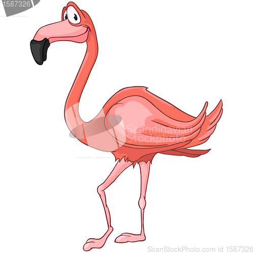 Image of Flamingo