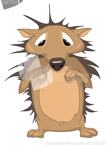 Image of Cartoon Character Hedgehog