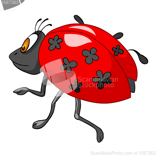 Image of Cartoon Character Ladybird