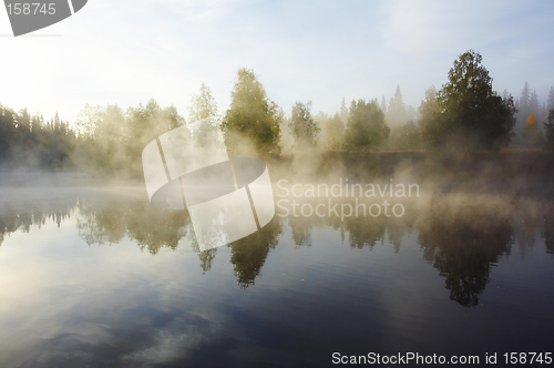 Image of Morning mist