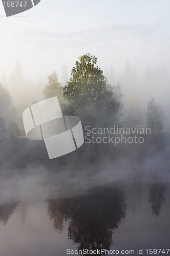 Image of Morning mist