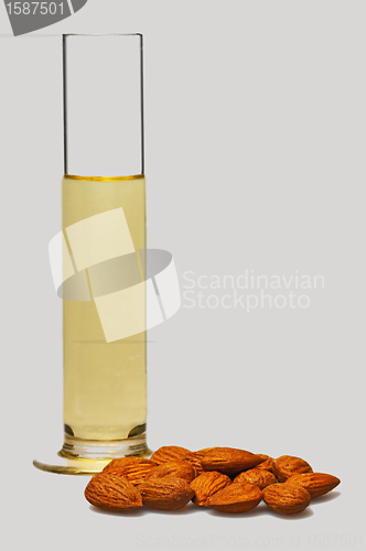 Image of almond oil