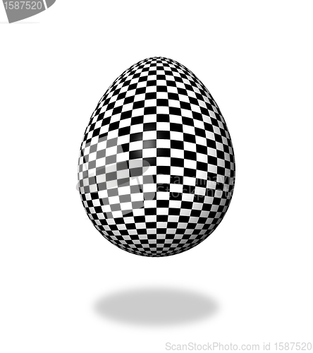 Image of Egg Checkered