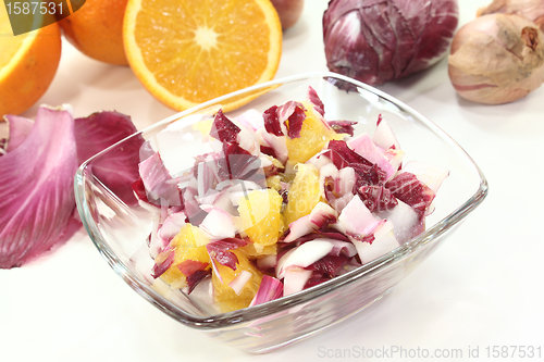 Image of fresh Chicory salad