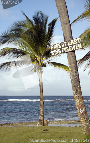 Image of sign palm tree Corn Island Nicaragua