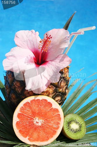 Image of Tropical Cocktail