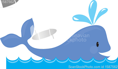 Image of Whale