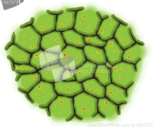 Image of Schematic representation of living cells