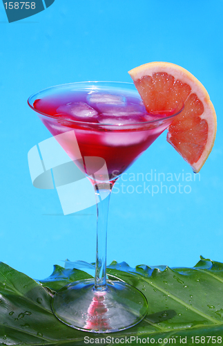 Image of Summer Cocktail
