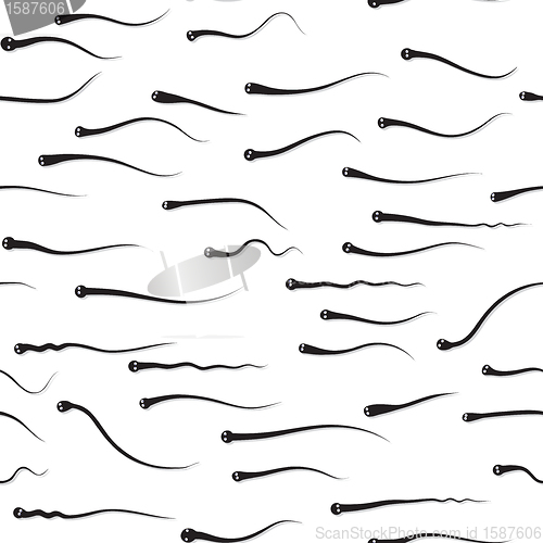 Image of Funny texture - sperm competition