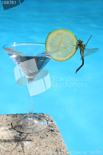 Image of Summer Cocktail