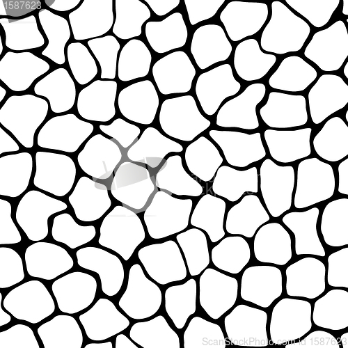 Image of Texture - seamless pattern of irregular cells