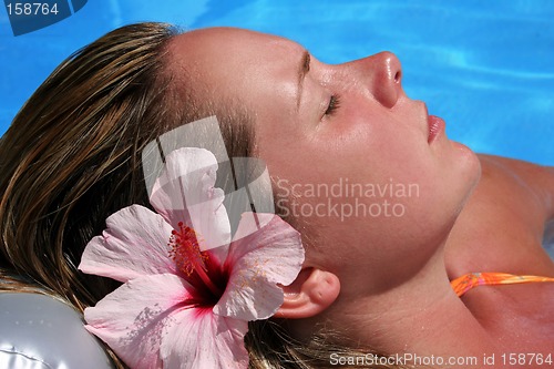 Image of Sunbather