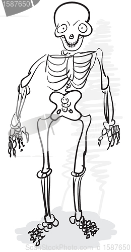 Image of Rough stylized drawing - human skeleton