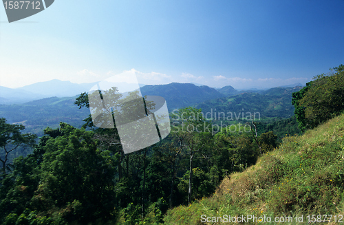 Image of Valley and mountainsin  center of Sri Lanka