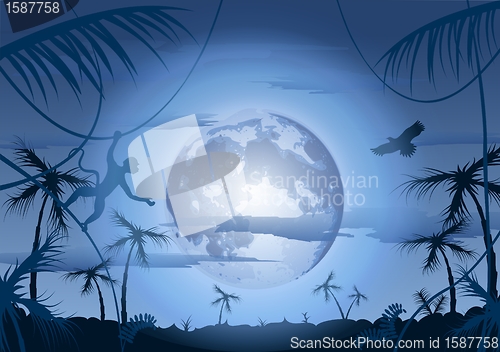 Image of Night in jungle and moon