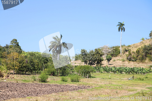 Image of Cuba