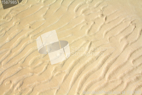 Image of Beach background