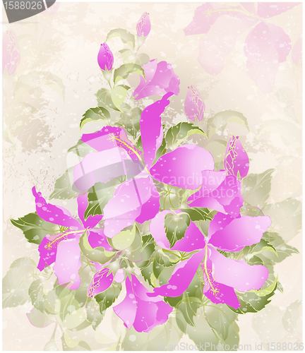 Image of Greeting card with hibiscus. Illustration hibiscus.