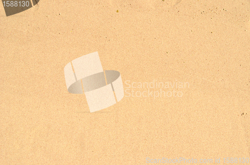 Image of wet sand