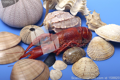 Image of Seafood