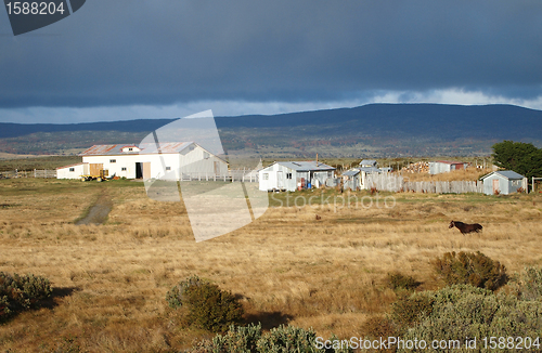 Image of Patagonian farm in fall, Chile.