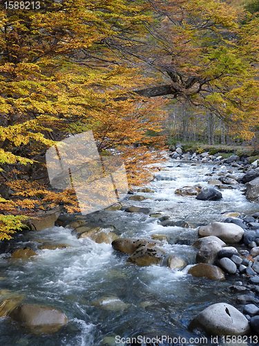 Image of Patagonia in fall, Chile.