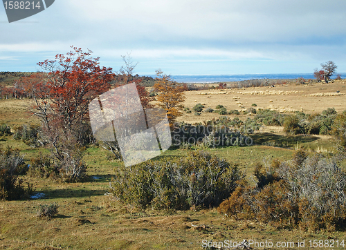 Image of Seno Skyring, Patagonia.