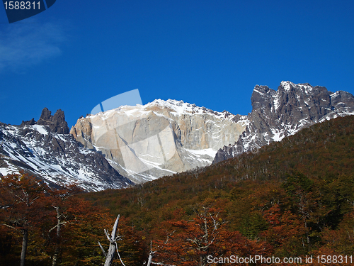 Image of Torres del Paine in fall, Chile.