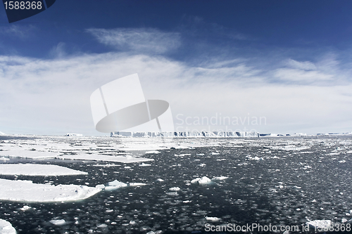 Image of Icebergs on Antarctica