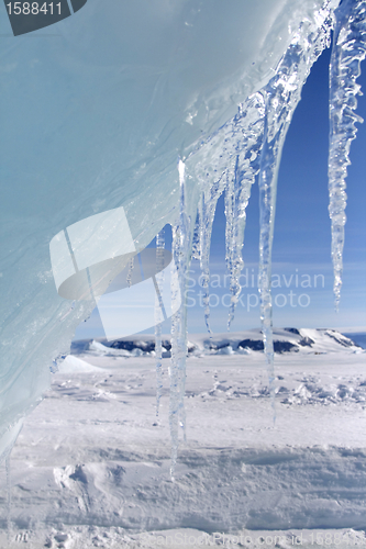 Image of Icicles