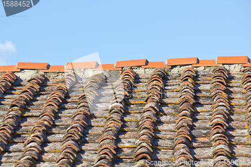 Image of Old Roof