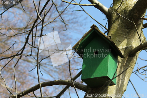 Image of Birdhouse