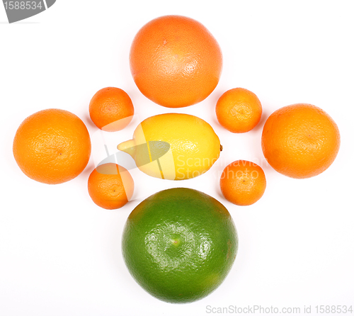 Image of Citrus fruits isolated on white background 