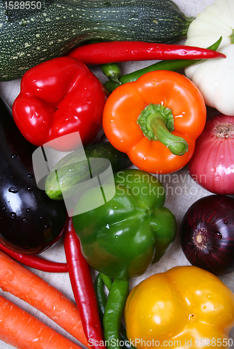 Image of Colorful different fresh vegetable 