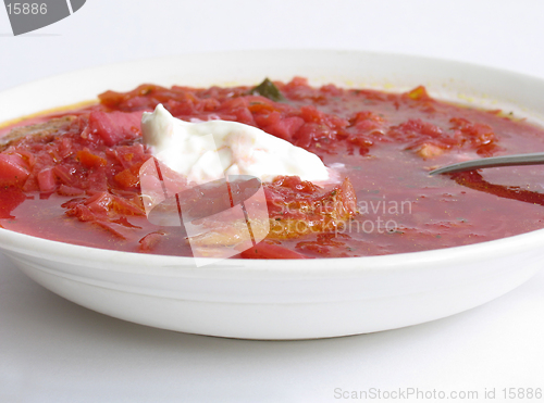 Image of Russian - Ukrainian borsch