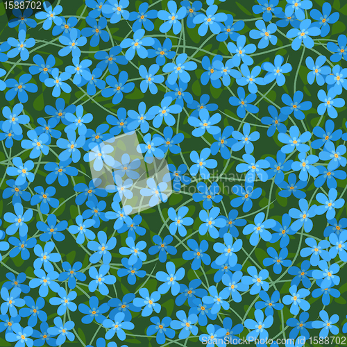 Image of forget me not seamless flowers background