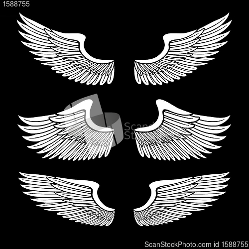 Image of white angel wings set isolated on black