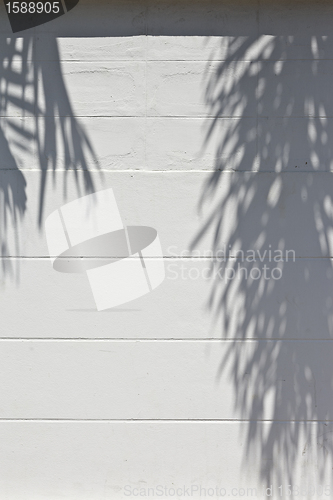 Image of cement wall with a shade from palm trees